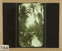 Palm trees and men on the riverbank of a canal of the Shatt al-Arab