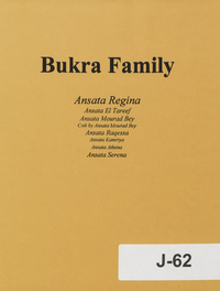 Bukra Family: Ansata Regina. 20