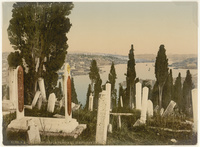 Constantinople. Partie du Cimetière d'Eyoub. IConstantinople. A Part of the Eyoub Cemetery. I
