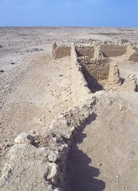 Fort de Rakiyat, 19e siécleThe  19th century Fort Al Rakayat