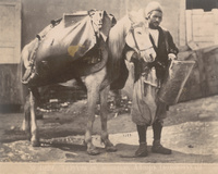 Тулухчи съ лошадью. Айсоръ (водовозъ)Tulukhchi with horse. Aysor (water carrier)