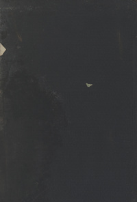 تاريخ الفنون وأشهر الصورخلاصة الفنون