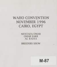 WAHO Egypt. 98-98. 41