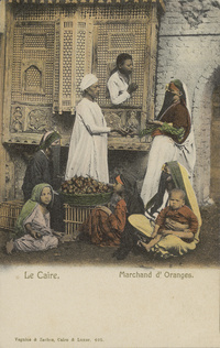 Le Caire. Marchand d'OrangesOranges vendors in Cairo