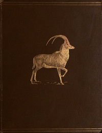 The book of antelopes