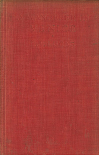 A wanderer in Venice