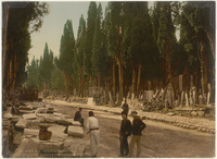 Constantinople. Cyprès et Route dans le Cimetière de ScutariConstantinople. Cypresses and Road in the Scutari Cemetery