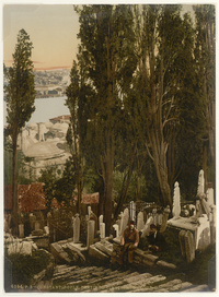 Constantinople. Partie du Cimetière d'Eyoub. IIConstantinople. A Part of the Eyoub Cemetery. II