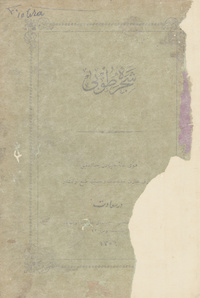 شجرة طوبى