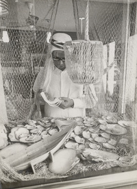 تجارة اللؤلؤ في الدوحةTreading in Pearls in Doha