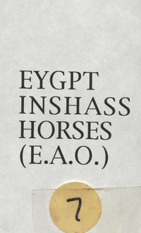 Egypt Inshass Horses (E.A.O.)