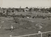 المنتزه العام في الدوحةThe national park in Doha