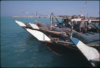 Khor, PécheFishing in Al Khor