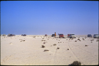 Course de chameau à Abu Samra organisée par les Al Mansuri (bédouins)Camel Race at Abu Samra organized by the Mansuri (Bedouins)