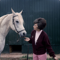 Ansata Farms + Horses