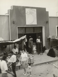 سمك الخليج الطازج الشهير في سوق الدوحةFamous Gulf Fish in Doha markets