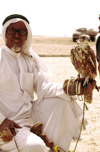 Falcon Hunting = الصيد بالصقور