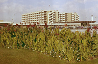Hamad General Hospital = مستشفى حمد العام