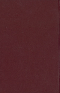Geschichte Iṣbahāns: nach der Leidener Handschrift