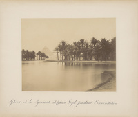 Sphinx, et la Pyramide de Cephrena Gizeh pendant l'inondationSphinx and the Pyramid of Khafre at Giza during the flood