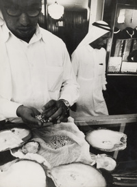 تجارة اللؤلؤ في الدوحة = Treading in Pearls in Doha - Qatar