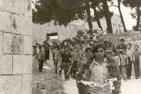 French press photographs documenting political developments in Palestine between 1976 and 1994